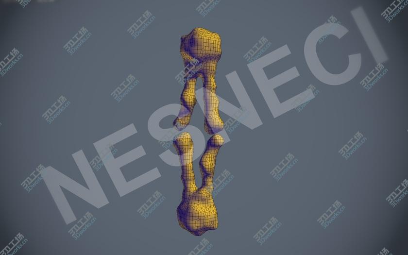 images/goods_img/202105071/CellSurface Phospholipid Bilayer/3.jpg